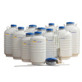 CryoKING Liquid Nitrogen Tank Static Storage Series 31.5 L Include 6 canisters