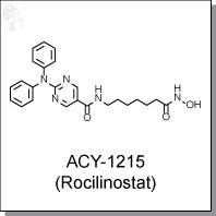 ACY-1215 (Rocilinostat).jpg