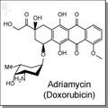 Adriamycin (Doxorubicin).jpg