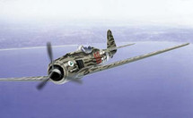 FW-190 Luftwaffe