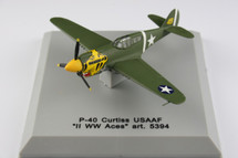 P-40 Curtiss US Army Air Force Yellow Cat Head