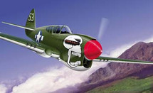 P-40 Curtiss Bob`s Robin WWII, 1:100 Franklin Mint FM-5392