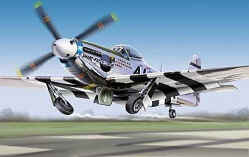 ヘドンp-51 Eagleston's “Feeble Eagle”<br/>North American, Mustang, P