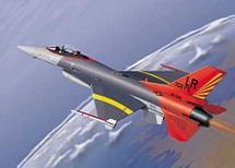 F-16 Falcon USAF "FW-302FS" 50th Anniversary AFRC