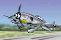 FW-190 Focke-Wulf Luftwaffe
