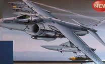 Harrier UK RAF "Palliser"