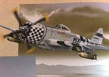 P-47 Thunderbolt USAF "No Guts No Glory"