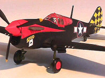 P-40L Warhawk U.S.A.A.F. 
