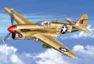 P-40L Warhawk U.S.A.A.F. "Operation Torch"