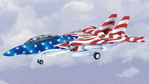 F-14 Tomcat USN Stars & Strips LE-3500