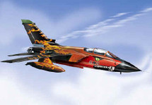 Tornado Luftwaffe "Flying Monsters" ECR