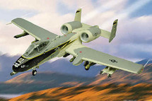 A-10 Warthog Black Lightning