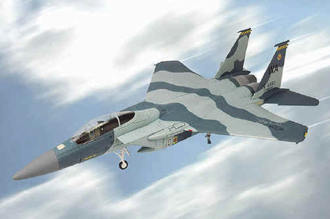 F-15 Eagle U.S.A.F. 65th Aggressor Squadron Nellis AFB, Nevada, 1