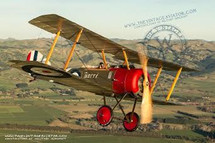 Sopwith Pup "Betty" Mahogany Display Model