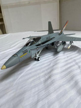 F/A-18 C CAG Bird NK/300 VFA-113 Stingers US Navy USS Abraham Lincoln