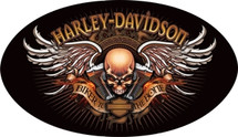 "Harley Davidson Biker to the Bone" Ande Rooney