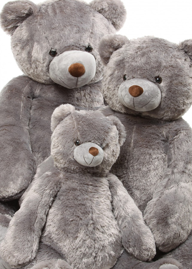 teddy bears in bulk