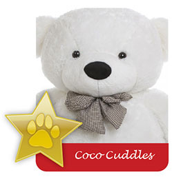 coco-cuddles-famous-giant-teddy-bear.jpg