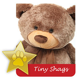 tiny-shags-famous-giant-teddy-bear.jpg