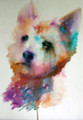        Sit - Terrier Watercolour by Jean Haines