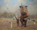 Heed My Warning - A Rhino Study by Paul Apps
