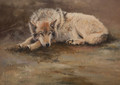    Wolf Study by Paul Apps