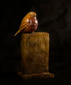 Winter Robin Bronze Sculpture by Anthony Smith