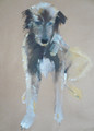 Little Brown Dog Oil Painting by Sally Muir