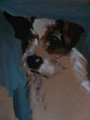 Jack Russell Oil Painting by Sally Muir