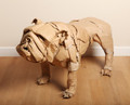Waste Not Want Not, Cardboard Bulldog Sculpture by Dominic Gubb