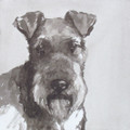 Airedale Terrier I by Ian Mason