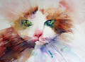       Purrfectly Perfect - A Feline Study in Watercolour by Jean Haines