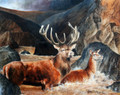 Stags at Balmoral by David McEwen