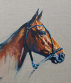               Polo Pony Study an Original Oil Painting by Debbie Harris