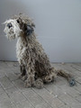 Ropey Dog Shaggy Sculpture by Dominic Gubb