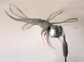 Dragonfly Wire Sculpture by Paula Joule Blake