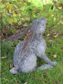 Bunny Rabbit Wire Sculpture by Paula Joule Blake