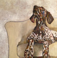 ORIGINAL Pointer on Cream Chair by Jenni Cator