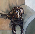 ORIGINAL Black Labrador on Armchair by Jenni Cator