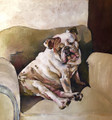 PRINT English Bulldog on Armchair by Jenni Cator