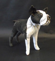                                  Boston Terrier - Small Furniture Dog Sculpture by Dominic Gubb