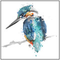   Kingfisher by Molly McGlynn