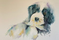                                                                                 Inquisitive Pup -  A Canine Study in Watercolour by Jean Haines