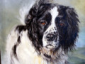 Sweep an Oil Painting by Kathryn Dalziel