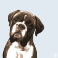 Print of a Boxer on Blue by Emily Burrowes