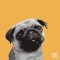 Print of a Pug on Yellow by Emily Burrowes