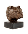 Sculpture of Bulldog Head Study by Marie Ackers