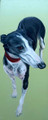 'Another Lady' Greyhound Study by Thuline de Cock