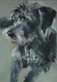 Shaggy Dog Portrait Sample by Sally Muir