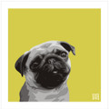 Print of a Pug on green  by Emily Burrowes